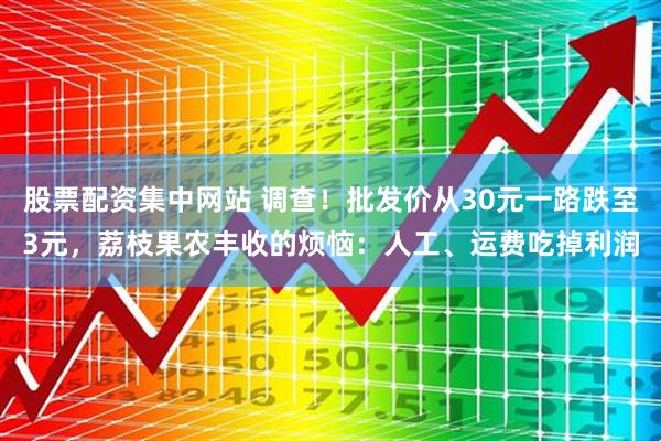 股票配资集中网站 调查！批发价从30元一路跌至3元，荔枝果农丰收的烦恼：人工、运费吃掉利润