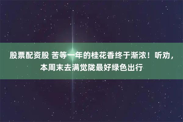 股票配资股 苦等一年的桂花香终于渐浓！听劝，本周末去满觉陇最好绿色出行